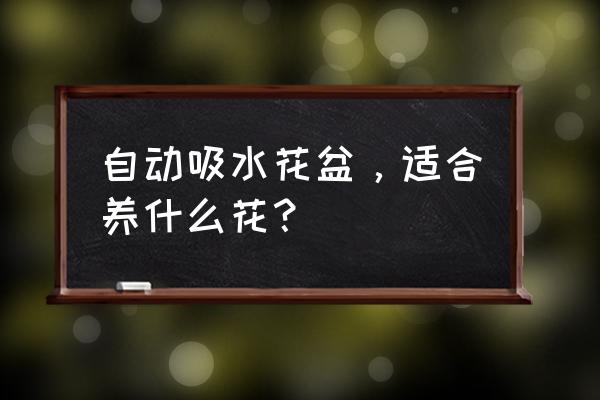 查询自动加水花盆多少銭 自动吸水花盆,适合养什么花? 查询自动加水花盆多少銭 自动吸水花盆,适合养什么花?