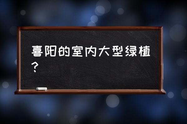 净化空气的室内喜阳植物有哪些 喜阳的室内大型绿植? 净化空气的室内喜阳植物有哪些 喜阳的室内大型绿植?