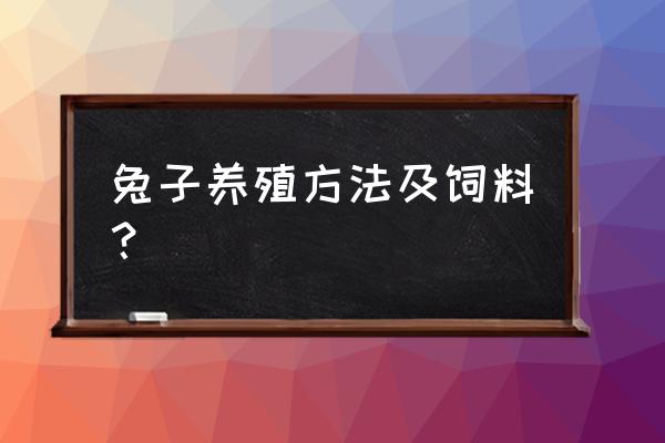 饲养兔子用什么饲料 兔子养殖方法及饲料？