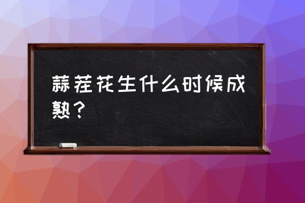 蒜花生怎样种植技术 蒜茬花生什么时候成熟? 蒜花生怎样种植技术 蒜茬花生什么时候成熟?