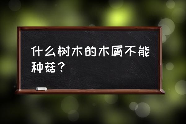 香菇种植什么木材不能用 什么树木的木屑不能种菇? 香菇种植什么木材不能用 什么树木的木屑不能种菇?