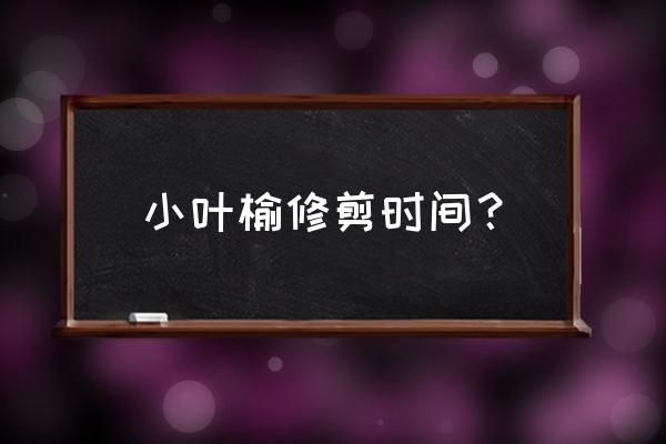 小叶榆树盆景怎么修剪 小叶榆修剪时间? 小叶榆树盆景怎么修剪 小叶榆修剪时间?