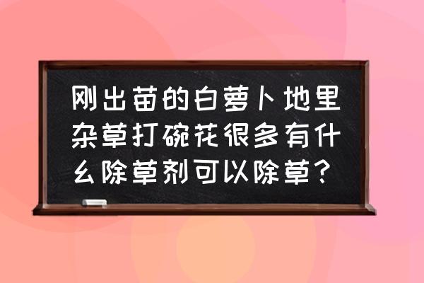 辣萝卜地用什么除草剂 刚出苗的白萝卜地里杂草打碗花很多有什幺除草剂可以除草? 辣萝卜地用什么除草剂 刚出苗的白萝卜地里杂草打碗花很多有什幺除草剂可以除草?