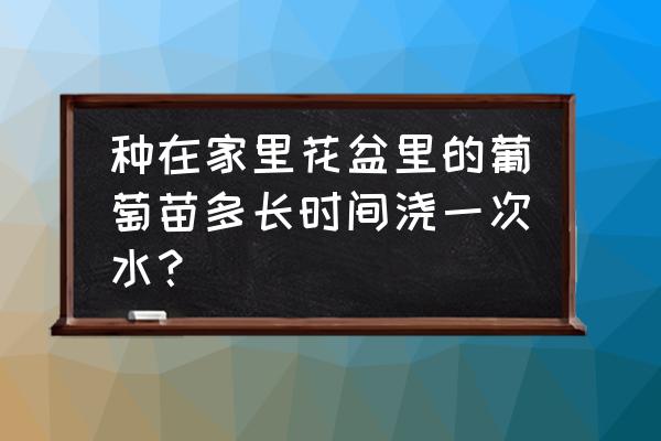 大花盆养葡萄怎么浇水 种在家里花盆里的葡萄苗多长时间浇一次水? 大花盆养葡萄怎么浇水 种在家里花盆里的葡萄苗多长时间浇一次水?