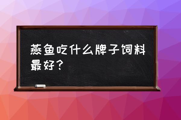 神仙鱼喂啥饲料 燕鱼吃什么牌子饲料最好? 神仙鱼喂啥饲料 燕鱼吃什么牌子饲料最好?