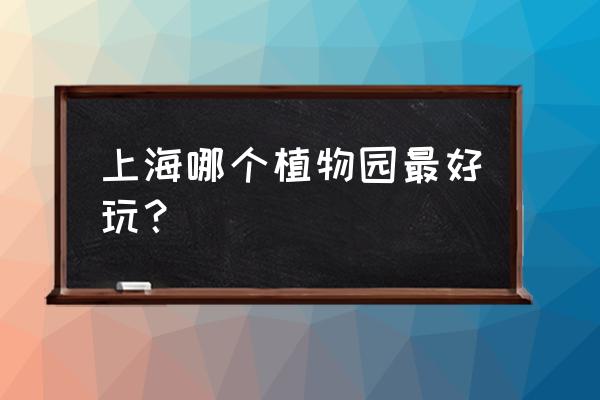 五一辰山植物园好玩吗 上海哪个植物园最好玩？