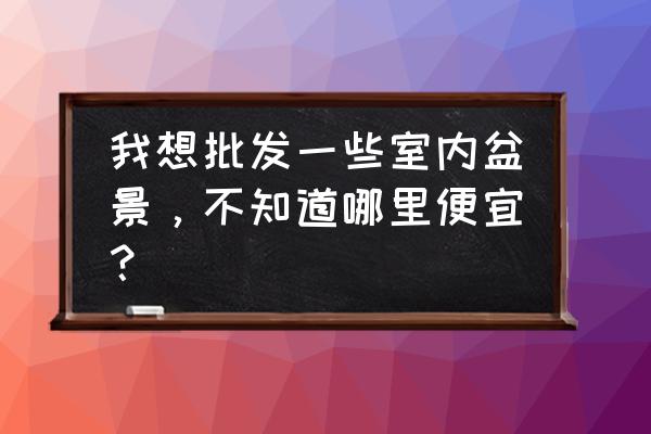 哪里有盆景小葫芦卖相关植物 我想批发一些室内盆景，不知道哪里便宜？