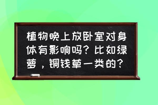 晚上室内放绿色植物好吗 植物晚上放卧室对身体有影响吗?比如绿萝,铜钱草一类的? 晚上室内放绿色植物好吗 植物晚上放卧室对身体有影响吗?比如绿萝,铜钱草一类的?