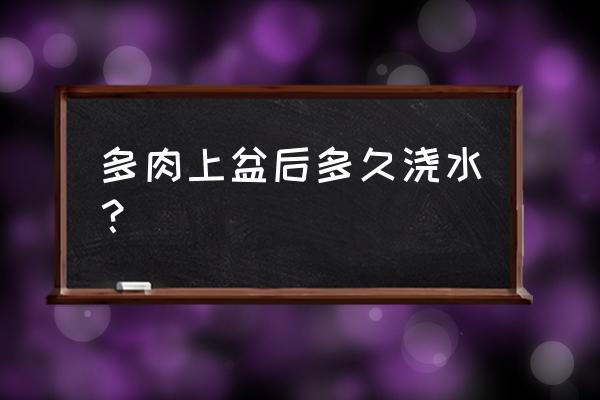 多肉植物换盆后多久可以浇水 多肉上盆后多久浇水? 多肉植物换盆后多久可以浇水 多肉上盆后多久浇水?