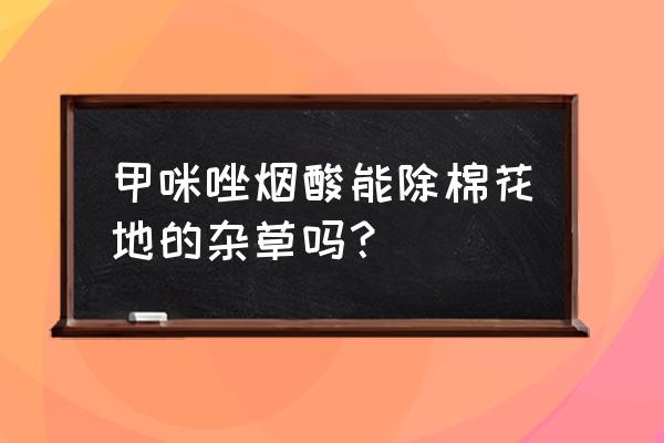 棉花田打碗花用什么除草剂 甲咪唑烟酸能除棉花地的杂草吗？