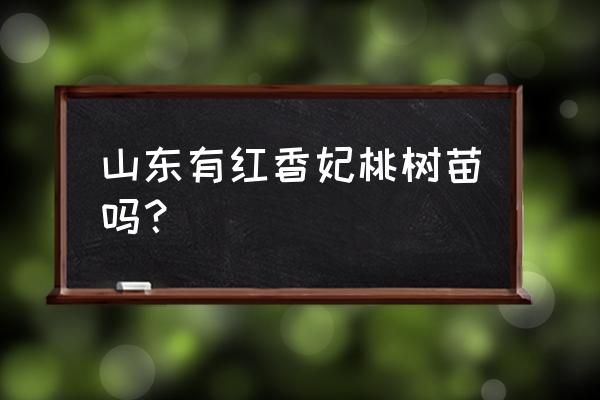 济宁哪里卖桃树苗 山东有红香妃桃树苗吗？