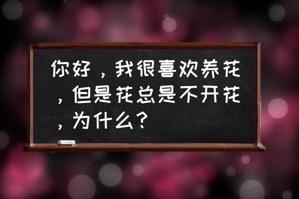 为啥有人养花不开花 你好,我很喜欢养花,但是花总是不开花,为什么? 为啥有人养花不开花 你好,我很喜欢养花,但是花总是不开花,为什么?
