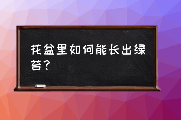 怎么让兰花盆面长苔藓 花盆里如何能长出绿苔? 怎么让兰花盆面长苔藓 花盆里如何能长出绿苔?