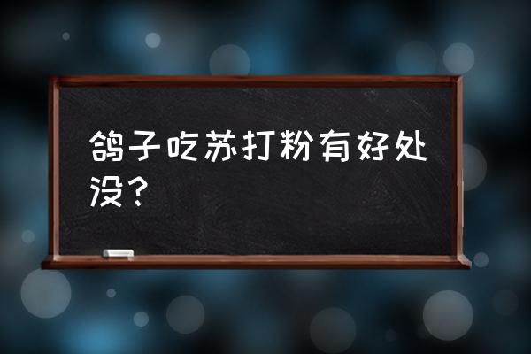 给鸽子大苏打水有什么作用 鸽子吃苏打粉有好处没? 给鸽子大苏打水有什么作用 鸽子吃苏打粉有好处没?