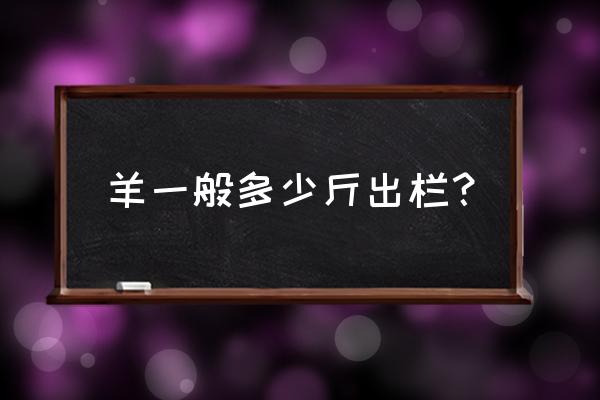 养羊多久出栏多少斤 羊一般多少斤出栏? 养羊多久出栏多少斤 羊一般多少斤出栏?