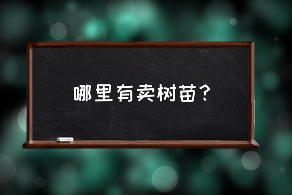 张家口什么地方卖树苗 哪里有卖树苗? 张家口什么地方卖树苗 哪里有卖树苗?
