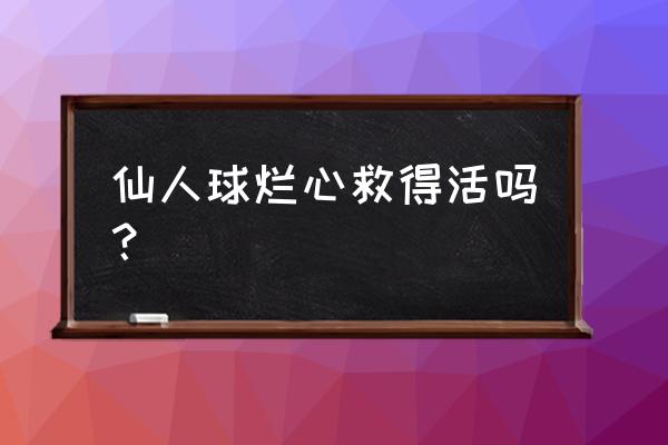 仙人球里面烂了怎么办 仙人球烂心救得活吗？