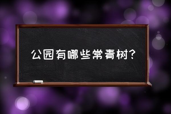 请问绿化带的常青树是什么树 公园有哪些常青树? 请问绿化带的常青树是什么树 公园有哪些常青树?