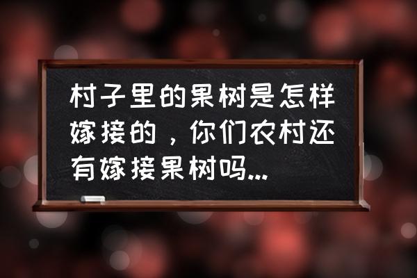 苗木的嫁接方法有几种 村子里的果树是怎样嫁接的,你们农村还有嫁接果树吗?如何嫁接? 苗木的嫁接方法有几种 村子里的果树是怎样嫁接的,你们农村还有嫁接果树吗?如何嫁接?