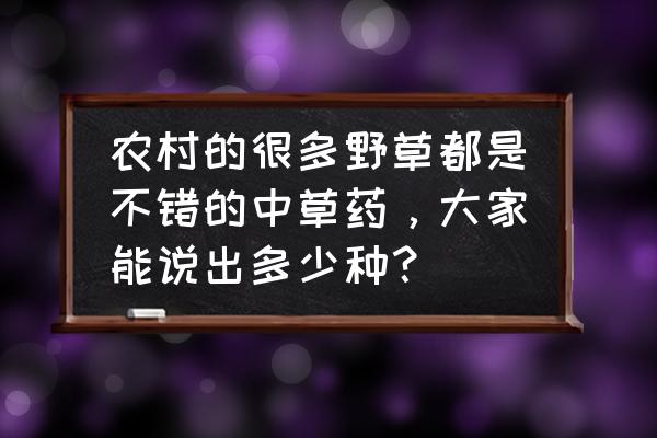 农村常见的300种野草 农村的很多野草都是不错的中草药，大家能说出多少种？