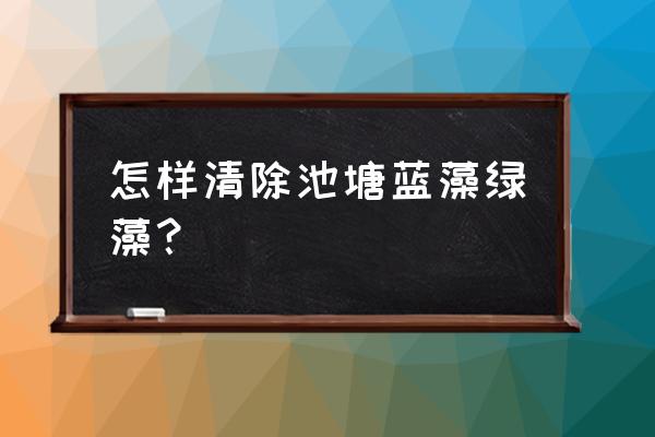 鱼塘绿藻爆发原因 怎样清除池塘蓝藻绿藻? 鱼塘绿藻爆发原因 怎样清除池塘蓝藻绿藻?
