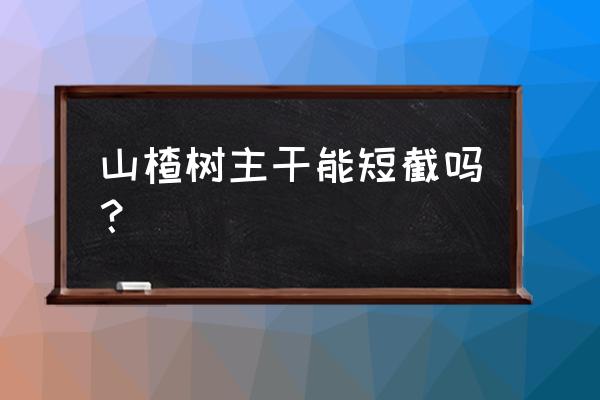 红果盆景修剪最佳时间 山楂树主干能短截吗? 红果盆景修剪最佳时间 山楂树主干能短截吗?