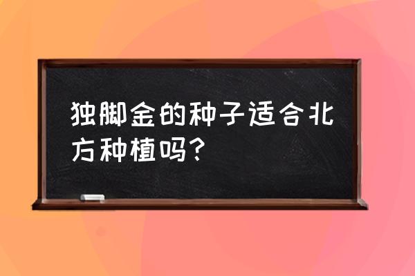 北方冬季露天适合种植什么蔬菜 独脚金的种子适合北方种植吗？