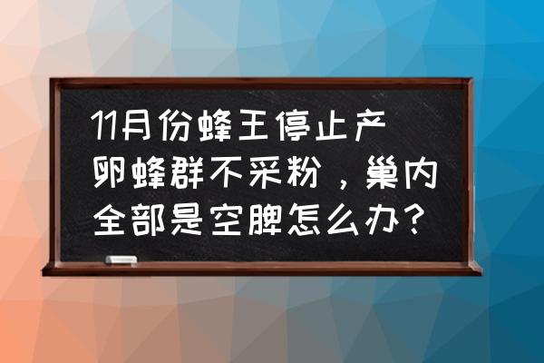 蜜蜂不上脾的解决办法 11月份蜂王停止产卵蜂群不采粉,巢内全部是空脾怎么办? 蜜蜂不上脾的解决办法 11月份蜂王停止产卵蜂群不采粉,巢内全部是空脾怎么办?