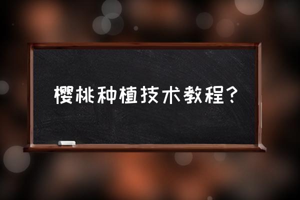 樱桃树怎么浇水是正确的 樱桃种植技术教程? 樱桃树怎么浇水是正确的 樱桃种植技术教程?