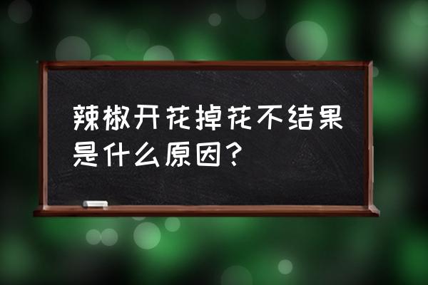 辣椒只开花不结果的解决方法 辣椒开花掉花不结果是什么原因? 辣椒只开花不结果的解决方法 辣椒开花掉花不结果是什么原因?