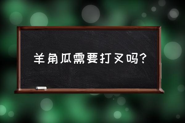 羊角瓜最佳吃法 羊角瓜需要打叉吗? 羊角瓜最佳吃法 羊角瓜需要打叉吗?