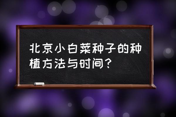 四季小白菜什么时间播种最好 北京小白菜种子的种植方法与时间？