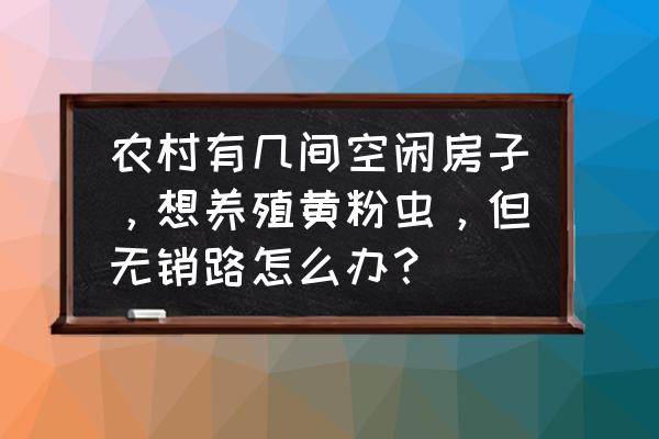 自己养观赏鱼销路怎么找 农村有几间空闲房子,想养殖黄粉虫,但无销路怎么办? 自己养观赏鱼销路怎么找 农村有几间空闲房子,想养殖黄粉虫,但无销路怎么办?