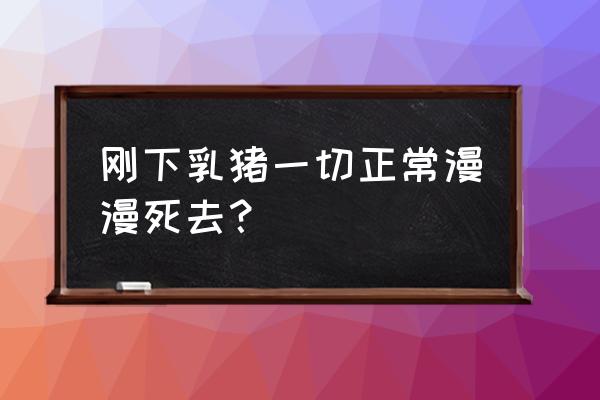 怀孕七个月得痢疾怎么办 刚下乳猪一切正常漫漫死去? 怀孕七个月得痢疾怎么办 刚下乳猪一切正常漫漫死去?