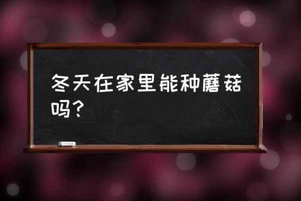菌棒自己在家养 冬天在家里能种蘑菇吗? 菌棒自己在家养 冬天在家里能种蘑菇吗?