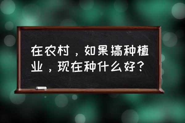 农村种蔬菜的简单方法 在农村,如果搞种植业,现在种什么好? 农村种蔬菜的简单方法 在农村,如果搞种植业,现在种什么好?