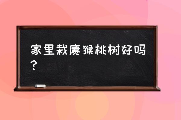 猕猴桃在家里种盆栽的方法和步骤 家里栽猕猴桃树好吗? 猕猴桃在家里种盆栽的方法和步骤 家里栽猕猴桃树好吗?