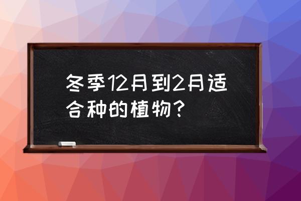 2月种什么花种子好 冬季12月到2月适合种的植物? 2月种什么花种子好 冬季12月到2月适合种的植物?