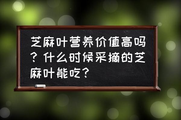 秋天多吃黑芝麻有什么好处 芝麻叶营养价值高吗?什么时候采摘的芝麻叶能吃? 秋天多吃黑芝麻有什么好处 芝麻叶营养价值高吗?什么时候采摘的芝麻叶能吃?
