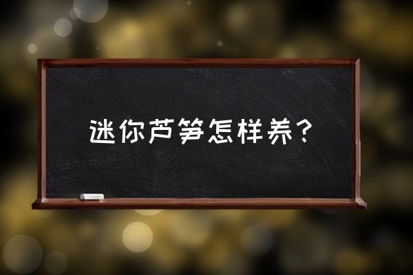 芦笋常见病虫害的防治方法 迷你芦笋怎样养? 芦笋常见病虫害的防治方法 迷你芦笋怎样养?