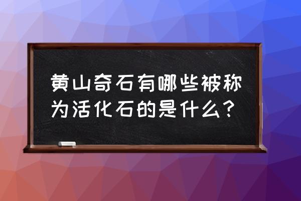 黄山各种奇石图片名称 黄山奇石有哪些被称为活化石的是什么? 黄山各种奇石图片名称 黄山奇石有哪些被称为活化石的是什么?