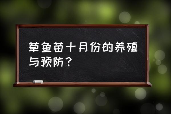 养草鱼苗用什么方法长得好 草鱼苗十月份的养殖与预防？