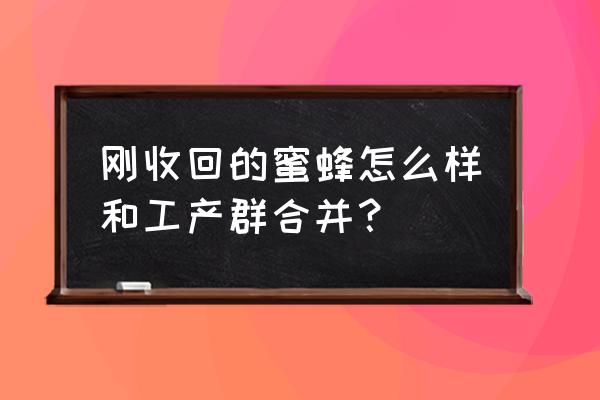 从山上收回的蜜蜂怎么养 刚收回的蜜蜂怎么样和工产群合并? 从山上收回的蜜蜂怎么养 刚收回的蜜蜂怎么样和工产群合并?