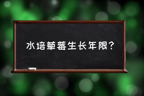 水培草莓种子的种植方法 水培草莓生长年限? 水培草莓种子的种植方法 水培草莓生长年限?