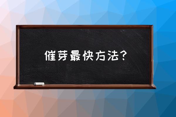 一次性杯子育苗方法 催芽最快方法? 一次性杯子育苗方法 催芽最快方法?