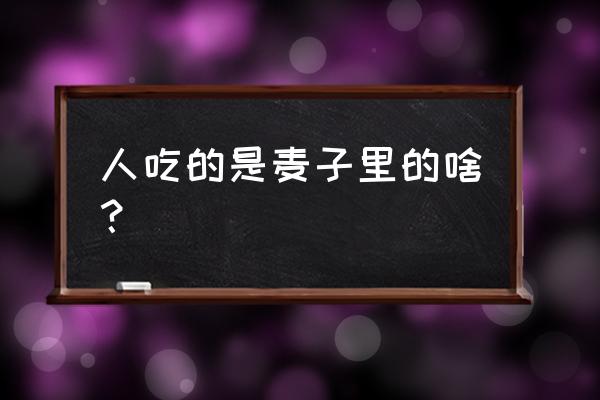 饲料中主粮是小麦需要添加什么 人吃的是麦子里的啥? 饲料中主粮是小麦需要添加什么 人吃的是麦子里的啥?
