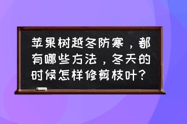 冬季果树追什么肥料 苹果树越冬防寒，都有哪些方法，冬天的时候怎样修剪枝叶？