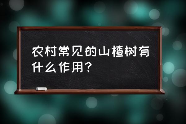 野生山楂怎么提高成活率 农村常见的山楂树有什么作用? 野生山楂怎么提高成活率 农村常见的山楂树有什么作用?