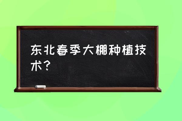 温室大棚怎样种植早春茬黄瓜 东北春季大棚种植技术? 温室大棚怎样种植早春茬黄瓜 东北春季大棚种植技术?