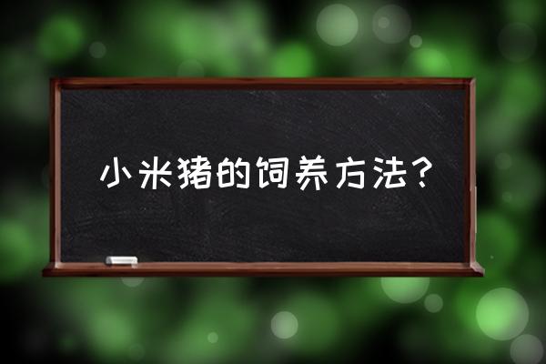 小香猪一般得什么病 小米猪的饲养方法? 小香猪一般得什么病 小米猪的饲养方法?